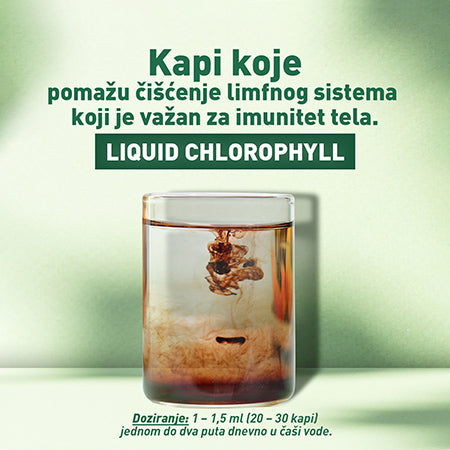 LIQUID CHLOROPHYLL